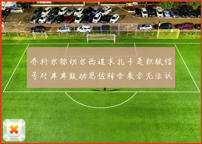 乔科尔称切尔西追求扎卡是积极信号对库库鼓动恩佐转会表示无法认同